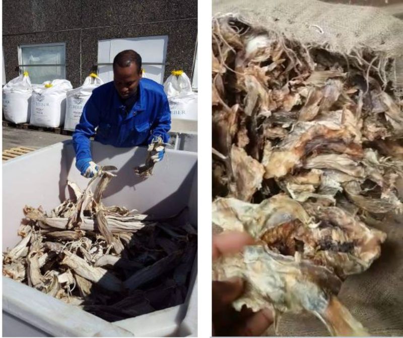 Stockfish (Fillet Pieces)