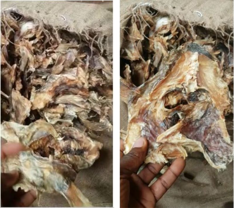 Dried Stockfish 6.oz Nigeria Stockfish/Opkoroko/Africa/Oven 